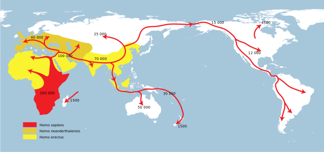 The human migration out of Africa left its mark in mutations