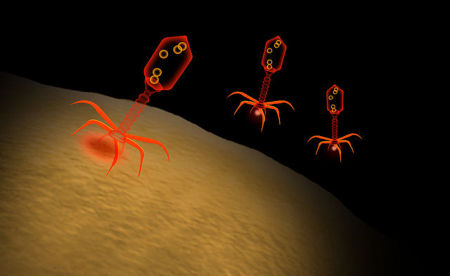 An artistic interpretation of Bacteriophages.