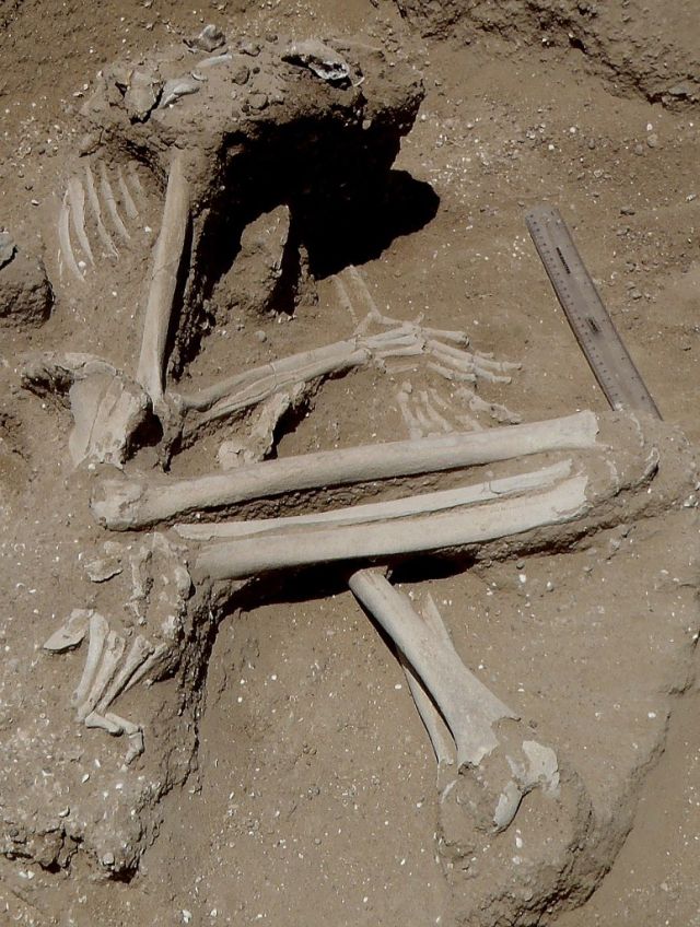The body of a woman whose hands were likely bound, based on their position. Her knees and left foot were fractured, possibly broken while she was captive. She was found surrounded by the remains of fish.