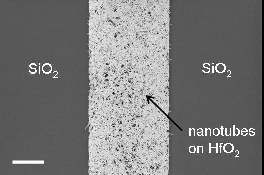On-chip random key generation done using carbon nanotubes