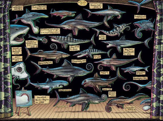 All the different ways that scientists have tried to explain where Helicoprion's spiral teeth were positioned.