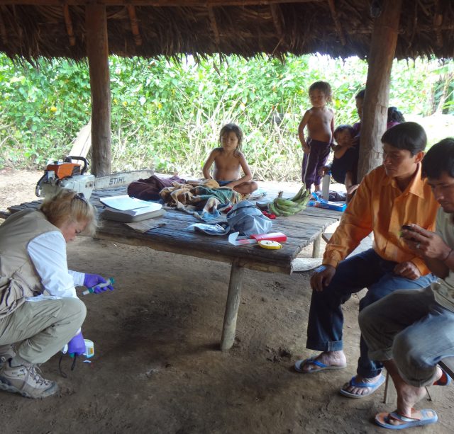 Researcher Maria G. Dominguez-Bello, collecting temperature information from the floor at one of the Checherta huts.