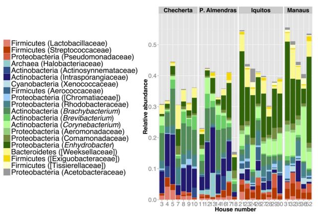 Top 20 groups of microbes found in samples taken. They include groups commonly associated with humans (shown in red hues) and those commonly associated with the environment (shown in blue hues). Groups shown in the literature to be associated with both the environment and the human body are shown in green hues. 