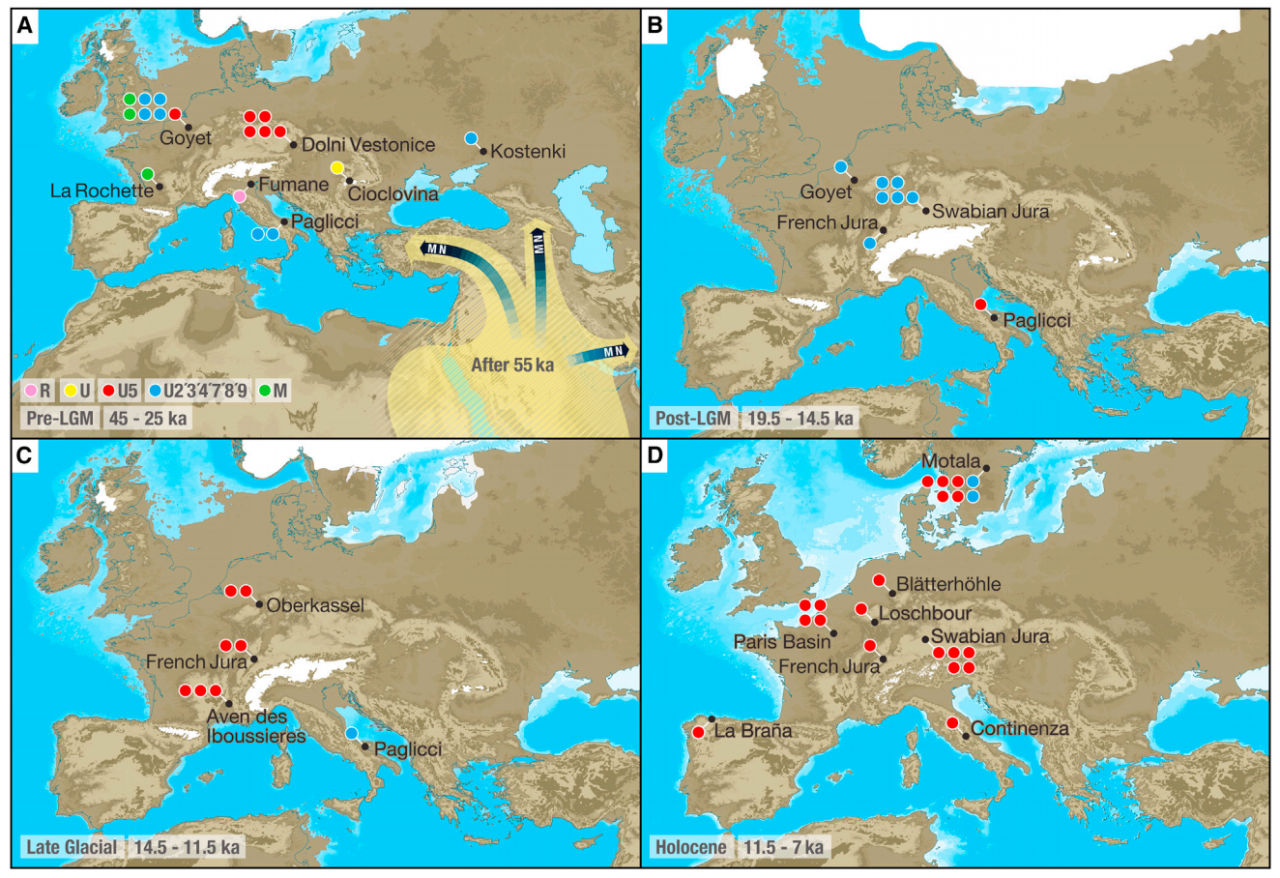 There Was A Massive Population Crash In Europe Over 14500 Years Ago