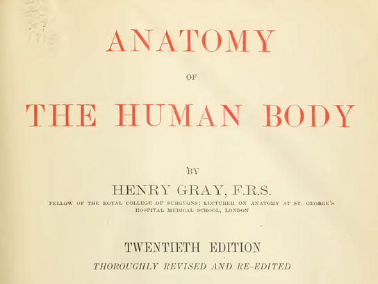 Gray’s Anatomy may have been largely plagiarized, written by a ...