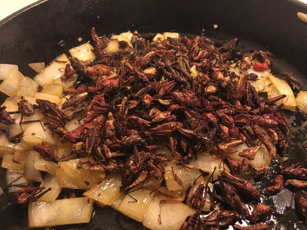 Scientifically speaking, you may not want to watch the kitchen prep tonight.