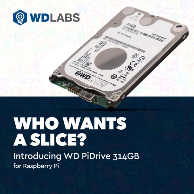 Western Digital makes a $46, 314GB hard drive just for the Raspberry Pi