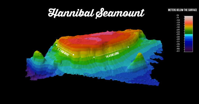 A 3D rendering of Hannibal Seamount. The crab patches were found on the northwest slope.