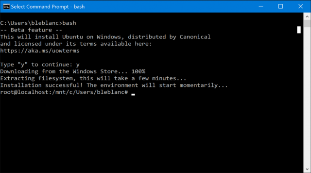 It's bash, and it's on Windows.