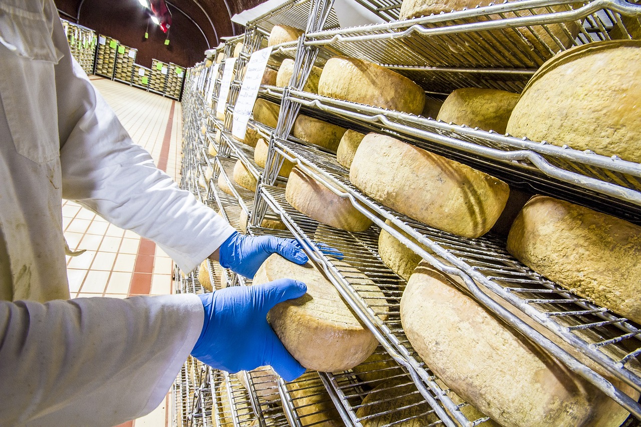 Lake District power plant will generate energy from cheese - Ars Technica