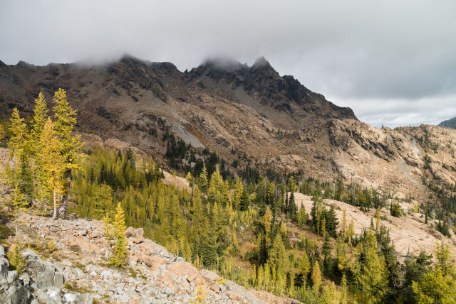 Oceanic crust sometimes ends up on land, such as the Ingalls Peak area in Washington.  This stuff pulls carbon dioxide from the atmosphere as it weathers.