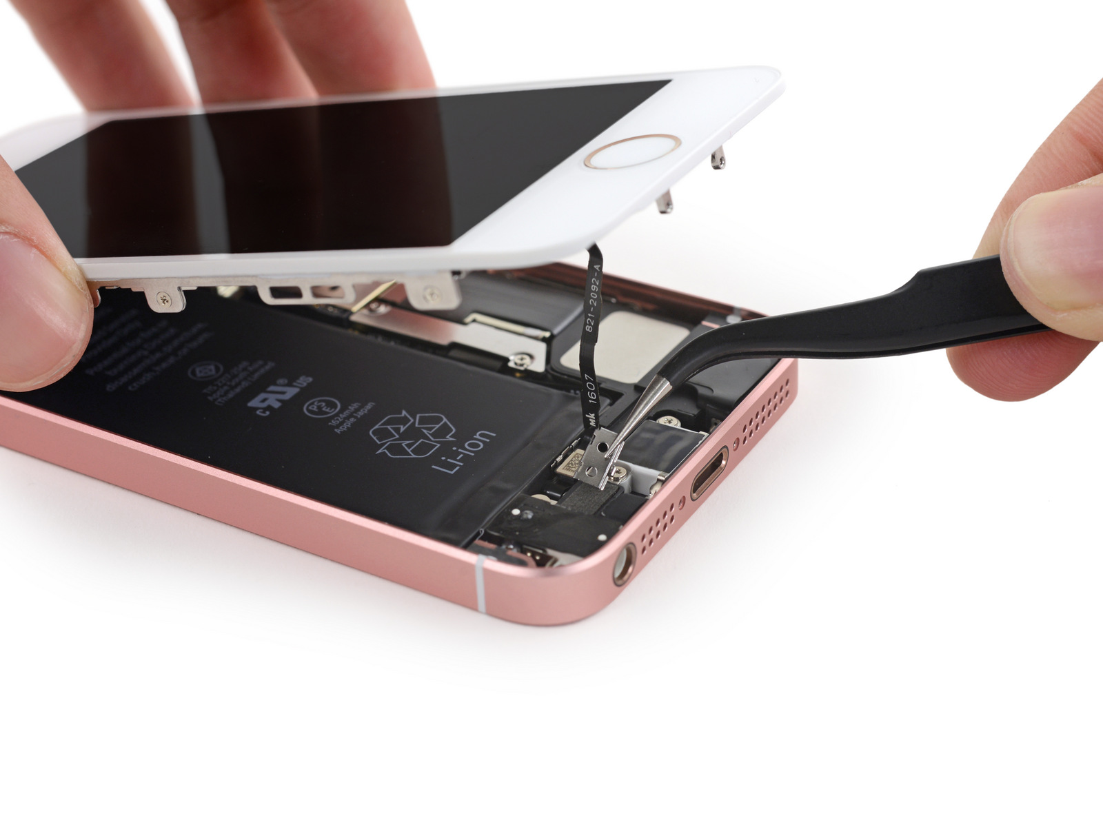 Bewijs bout Structureel iFixit: The iPhone SE and iPhone 5S share many identical parts | Ars  Technica