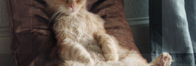 O2 faces uncertain future as Telefonica mulls float or sale to plug ...