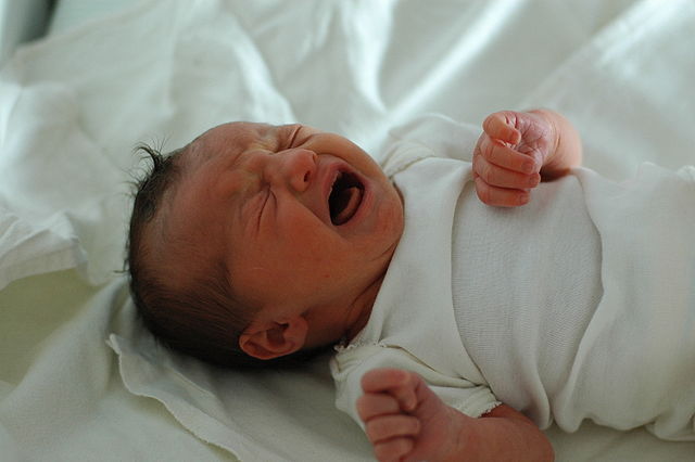 Getting babies to stop crying and not die may have made humans smarter