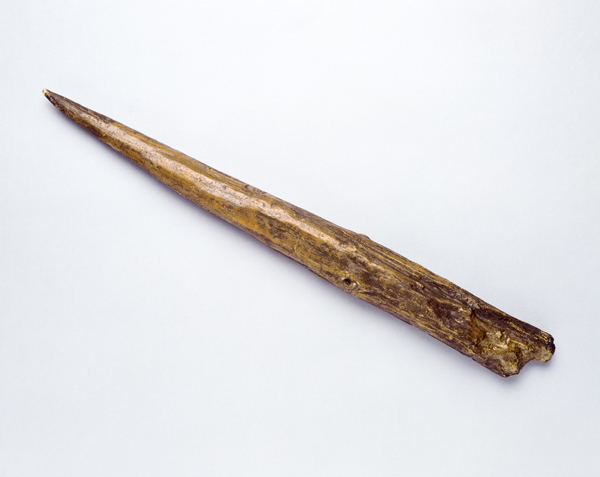 The Clacton Spear is the tip of a 450,000-year-old fire-hardened spear discovered in England.