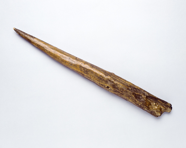 Turns Out Fire-Hardened Spears Aren'T As Badass As We Thought | Ars Technica