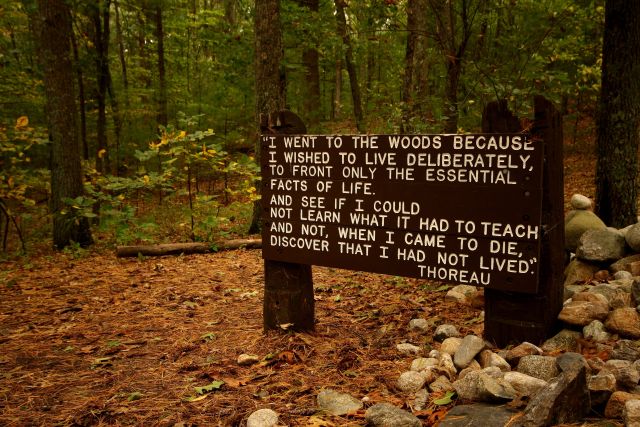 On Walden Pond, a place whose sanctity is untrammeled by our furious modern noise.