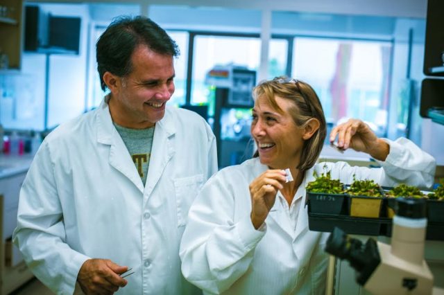 Hope Jahren and Bill Hagopian in their lab, where they created many one-of-a-kind instruments to study plants and the deep geological history of Earth's atmosphere.