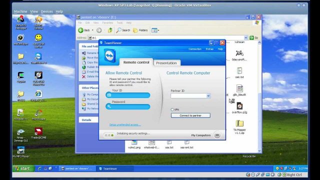 team viewer web client