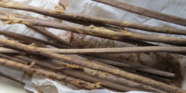 Archaeologists scraped fecal bits off these ancient wipe sticks, discovered in a 2,000-year-old latrine at a pit stop along the Silk Road in Dunhuang, China.