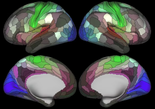 New brain map more than doubles the mapped regions of the human noggin