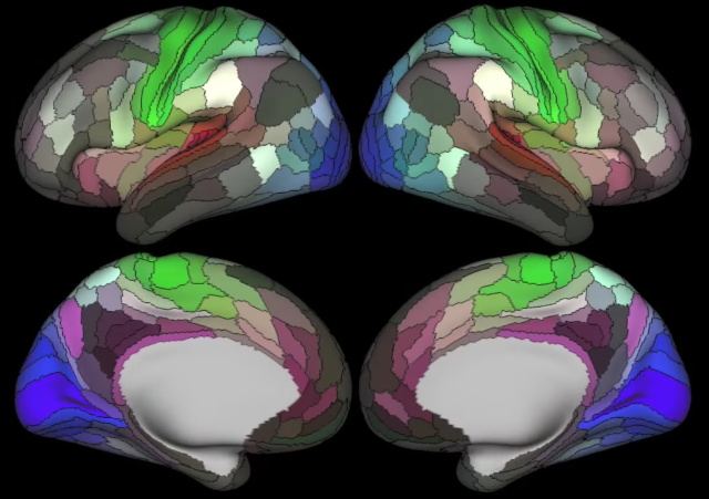 human brain mapping 2016