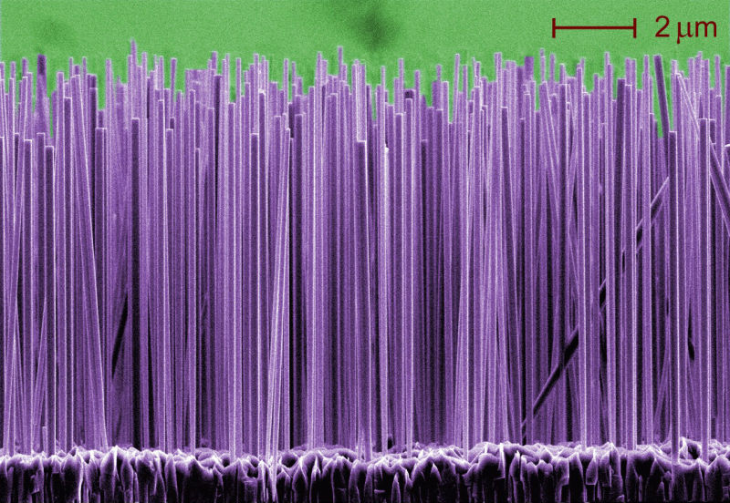 A forest of false-colored silicon nanowires.