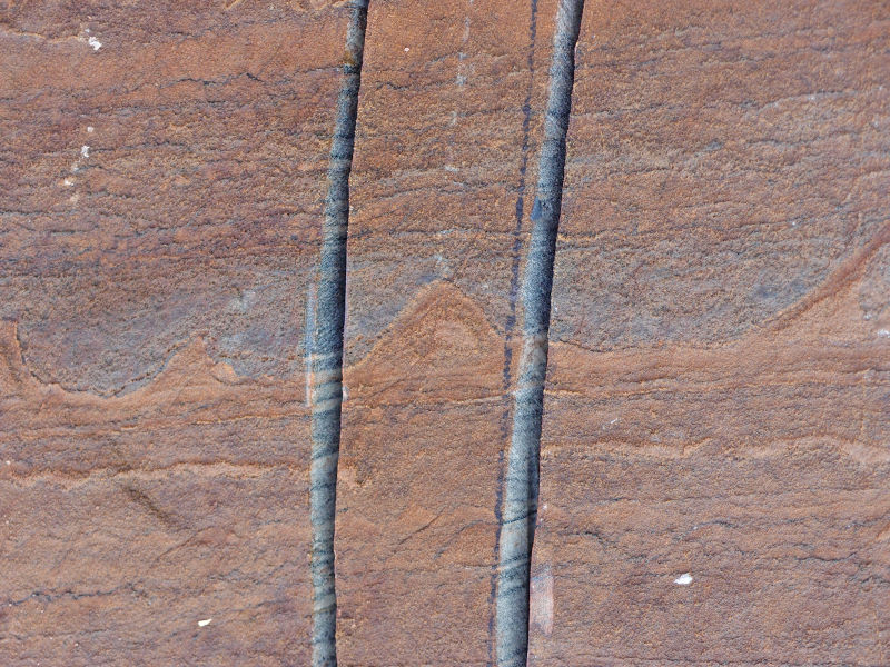 One set of the possible stromatolites—with two slices cut out by the researchers.