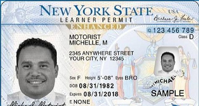 new york drivers license check