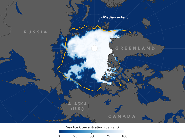 Arctic sea ice coverage is at its 2nd lowest on record