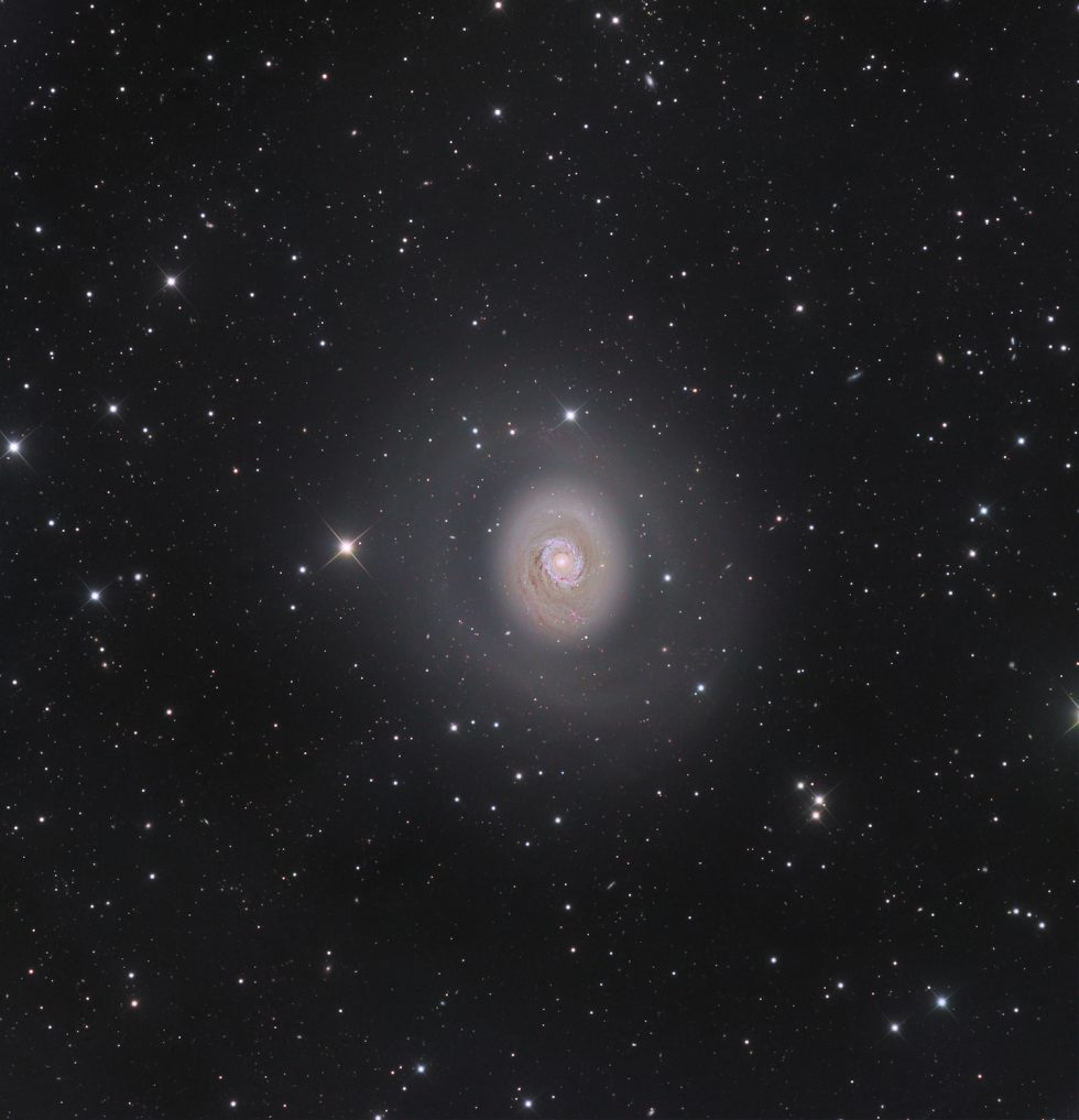 M94-Deep-Space-Halo-%C2%A9-Nicolas-Outte