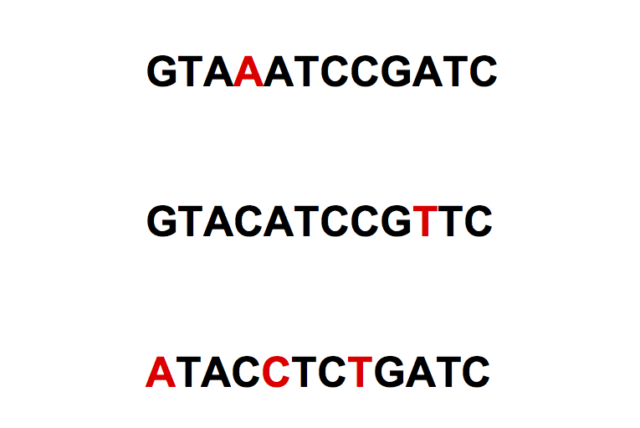 The same three sequences, now with highlighting on the bases that differ from the most common (consensus) sequence.