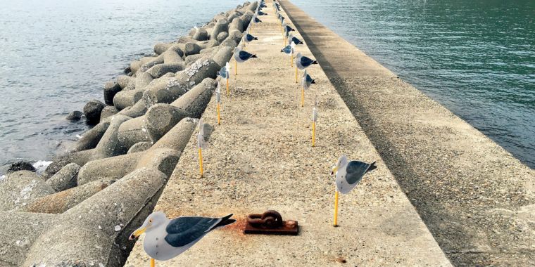 Covering Coasts With Concrete Japan Looks To Tetrapods To Battle Elements Ars Technica