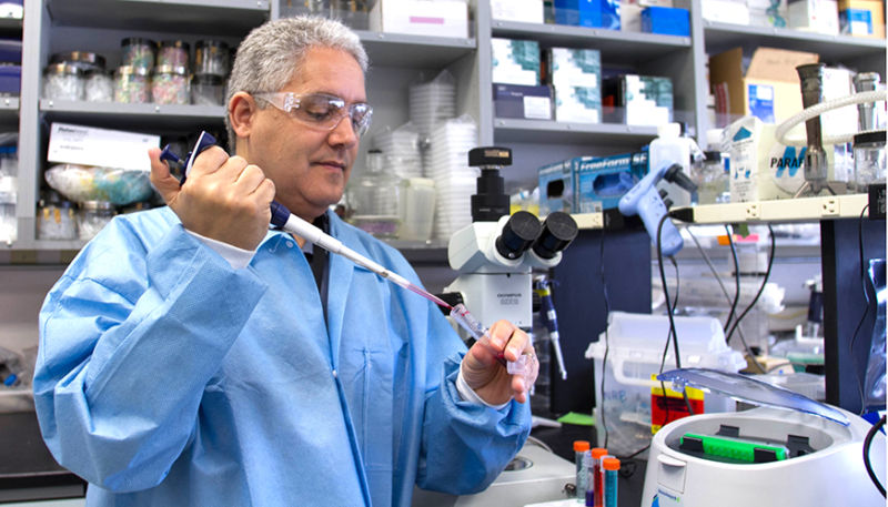 A little gray hair says nothing about your scientific productivity.