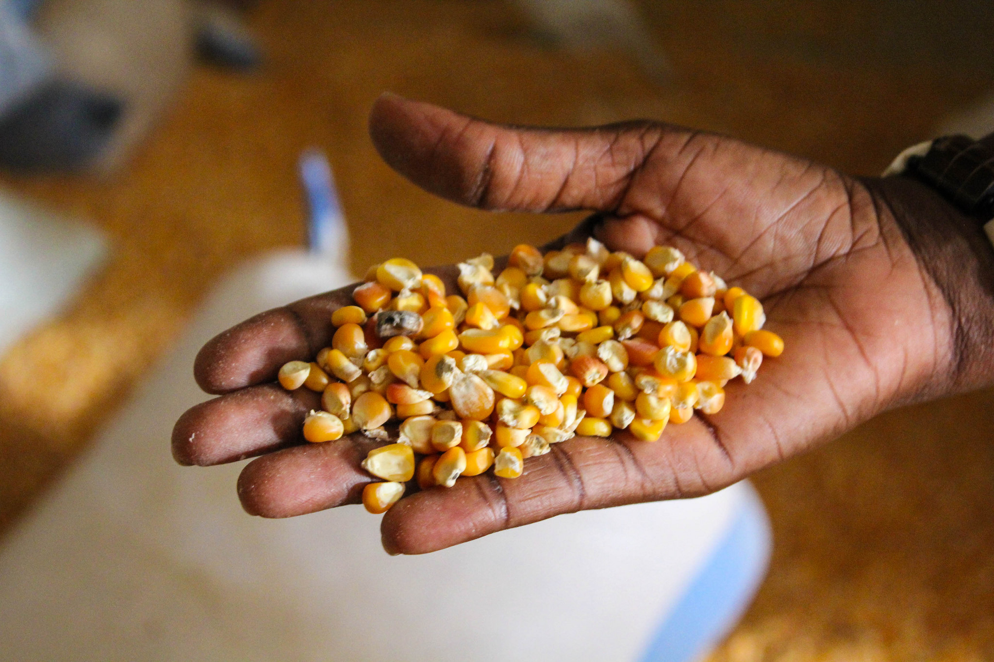 Can subSaharan Africa produce enough food to meet growing demand