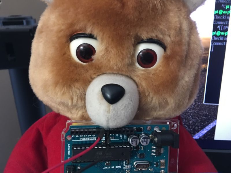 Tedlexa, un oso de peluche de IoT.