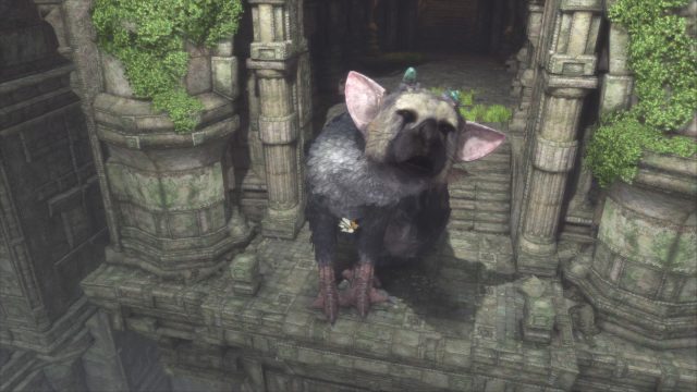 Hypercritical: The Last Guardian