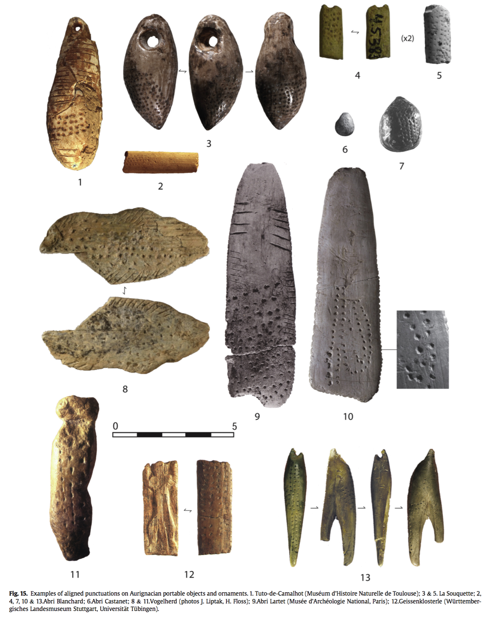 ●【擦れあり】Argivian Archaeologist　１枚 31,000-year-old skeleton from Stone Age may show proof of