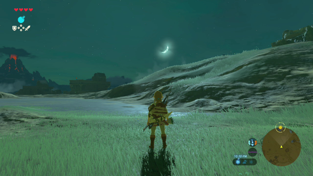 The open-world adventure <em>The Legend of Zelda: Breath of the Wild</em>. 