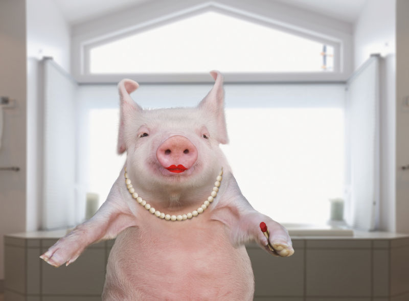 “Lipstick on a pig”: Time Warner Cable “deceived the FCC” in speed tests