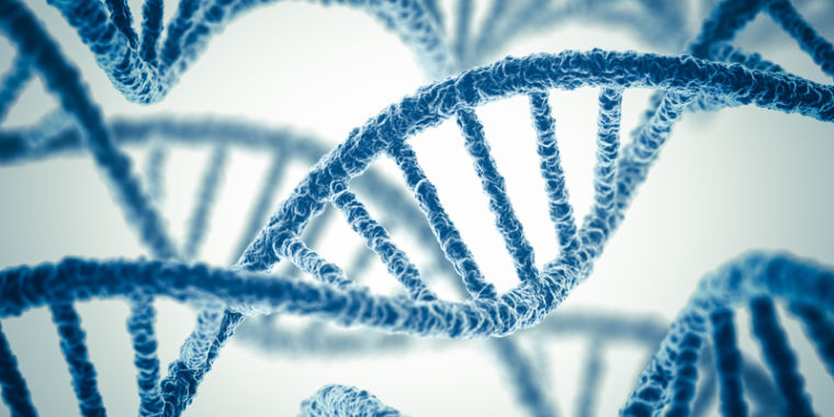 Clever DNA tricks | Ars Technica