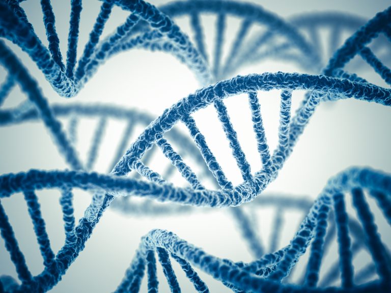 Low levels of simple chemical associated with aging, DNA damage - Ars ...