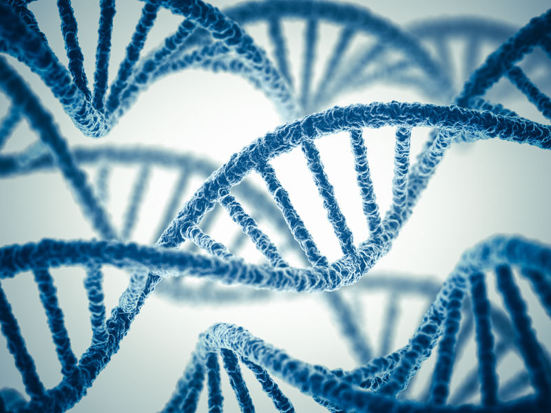 DNA-Stock-Image_22532584_SMALL-800x600.j