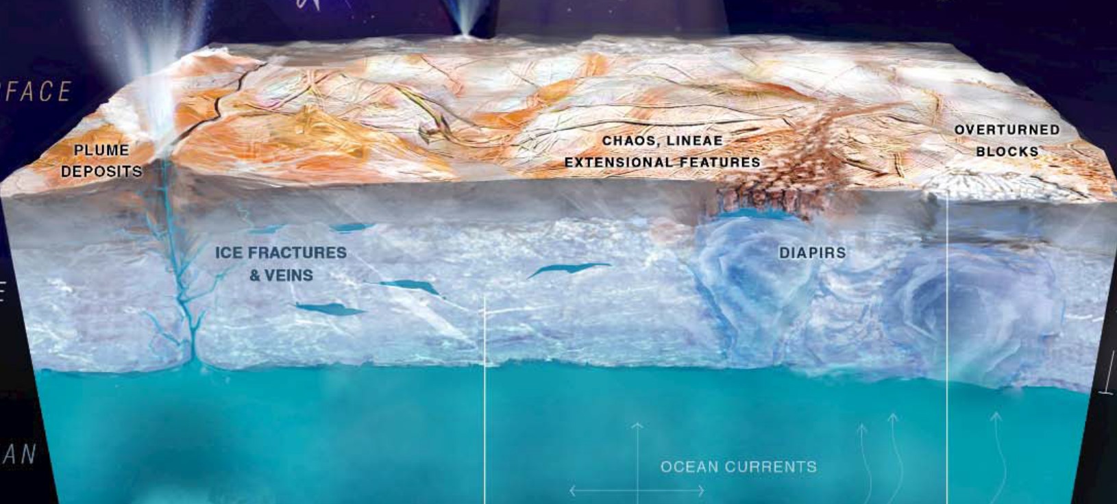 Cross section of ocean beneath frozen crust.