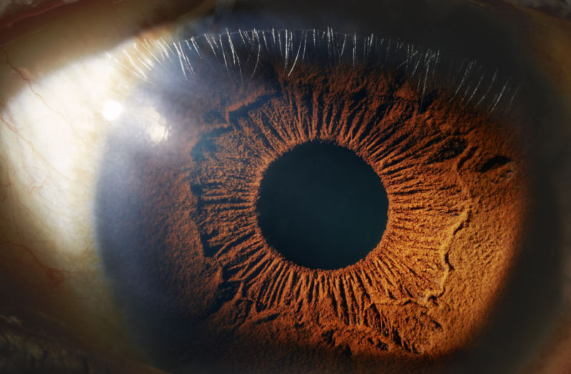 Three blinded after dubious stem cell treatment injected into their eyeballs