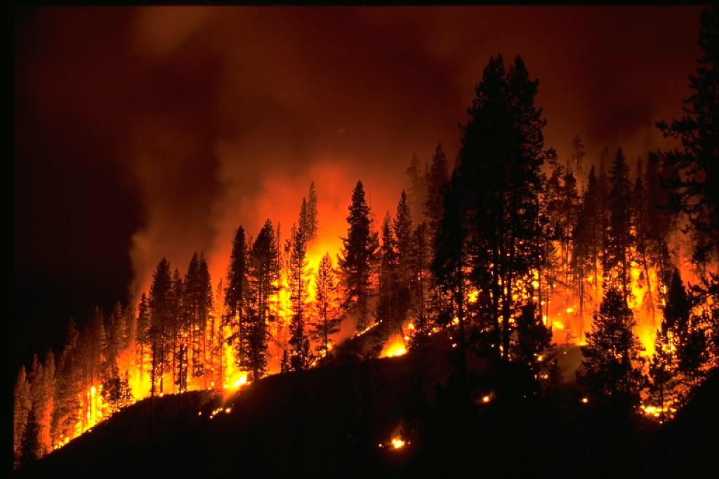 In the US, added wildfires due to carelessness, not just climate change |  Ars Technica