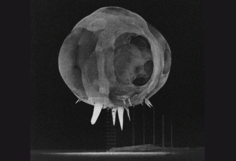 This well-known photograph was taken (extremely) shortly after the detonation of a nuclear device during Operation Tumbler-Snapper. The projecting spikes are known as a <a href=