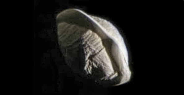 pan3.jpg
