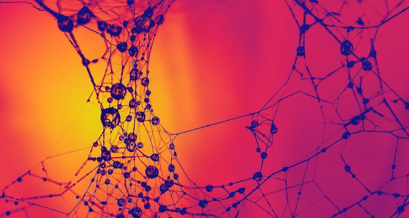 Plastic synapses offer hardware alternative to neural networks