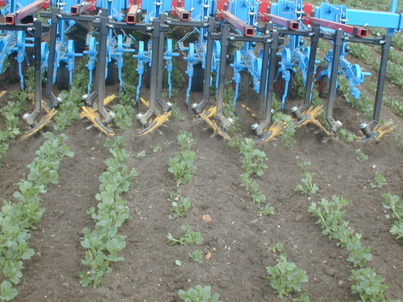 Mechanical weeding is one way to reduce the need for herbicides.